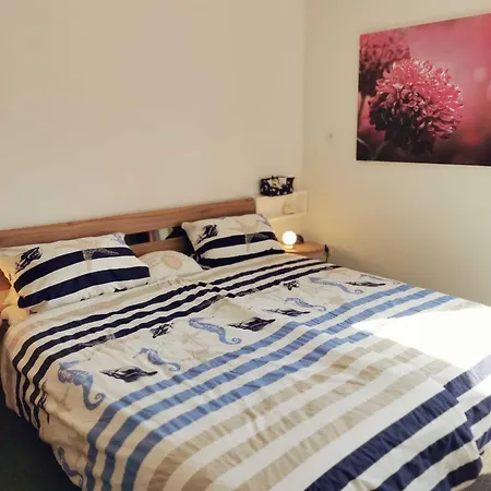 Granata 52 0s Schillig